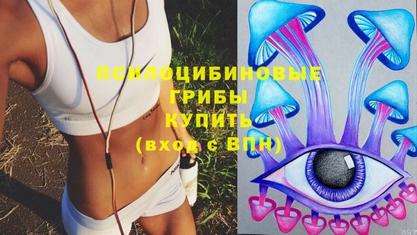 a pvp Абинск