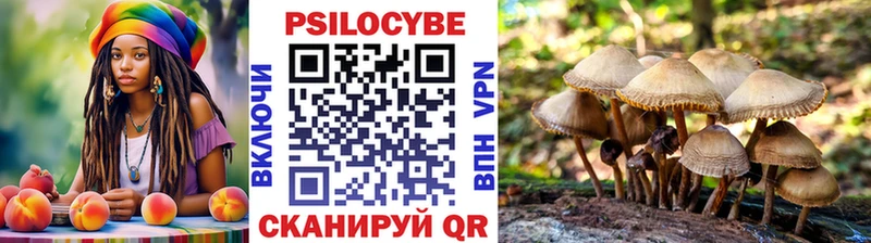 купить наркотики сайты  маркетплейс официальный сайт  Псилоцибиновые грибы Cubensis  Лебедянь  OMG ONION 